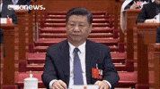 China Xijinping GIF by euronews