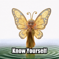 Self Know Yourself GIF by BuddhaFlyJourney