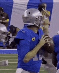 Green Bay Packers GIF