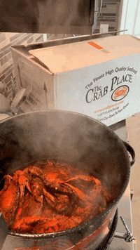 Seafood Crabs GIF by The Crab Place