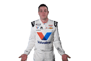 Alex Bowman Reaction Sticker by NASCAR