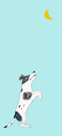 Hund Terrier GIF by Susann Stoebe