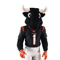 Pump Up Texans Mascot Sticker by Houston Texans