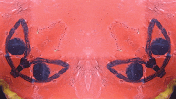 Art Design GIF by jorgemariozuleta