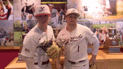 Baseball Johnson GIF by Lafayette Leopards