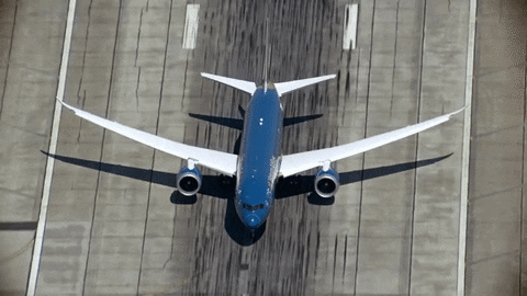 flight source GIF