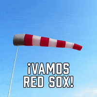 Vamos Red Sox GIF by Sealed With A GIF