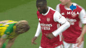Happy Football GIF by MolaTV