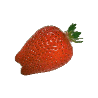 Strawberry いちご Sticker by suikanosato