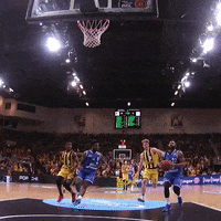 not in my house block GIF by easyCredit Basketball Bundesliga