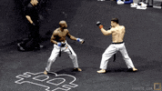 fight mma GIF by Karate Combat