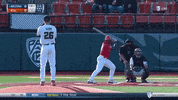 Cooper Hjerpe GIF by Oregon State Baseball