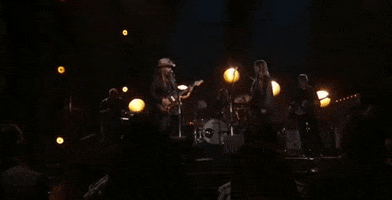 chris stapleton GIF