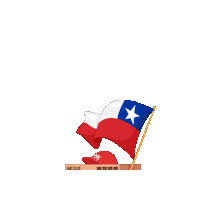 Fiestas Patrias Nexus Sticker by nexuslogistics