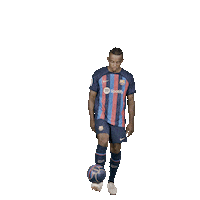 Sport Barca Sticker by FC Barcelona