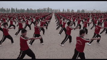 kids kung GIF