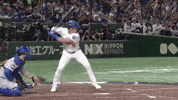 Home Run Sport GIF by MLB