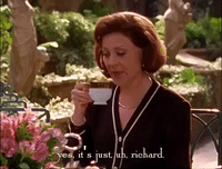 season 2 netflix GIF by Gilmore Girls 