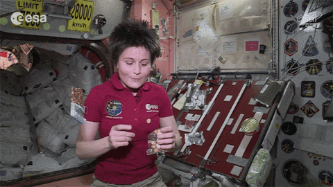 esa GIF