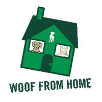 healthyspot wfh happy dog house cat happy cat Sticker
