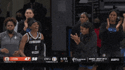 Wnba Playoffs Sport GIF by WNBA