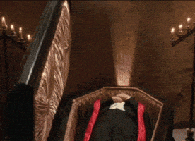 Dracula Dead And Loving It Vampire GIF