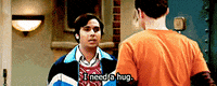 the big bang theory hug GIF