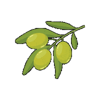 AboutOliveOil olive oil olives extra virgin olive oil Sticker