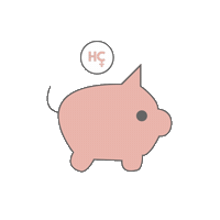 Money Invest Sticker by HerCapital