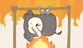 Elephant Zou GIF