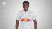 Football Sport GIF by FC Red Bull Salzburg