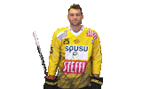 Hockey Ice Sticker by Vienna Capitals