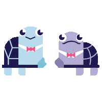 Turtle Sticker by Discovery World