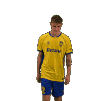 Goalcelebration Sejr Sticker by Brøndby IF