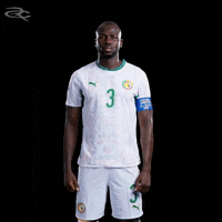 Fifa World Cup Caf GIF by Respective