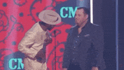 cmtmusicawards country music cmt music awards cmt awards 2019 GIF