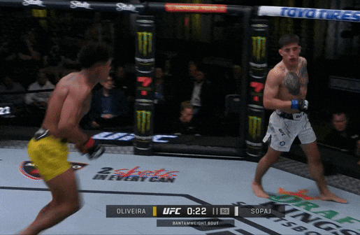 giphy.gif