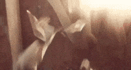 Woman Power GIF by Mirror
