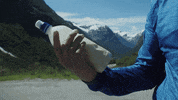 klypa accepte GIF