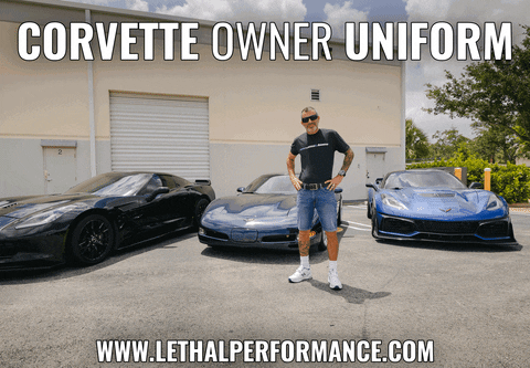 Corvette Jorts GIF by TeamLethal