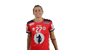Handball Euro Sticker by EHF