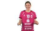 handballbundesligafrauen handball hbf vipers handball bundesliga frauen Sticker
