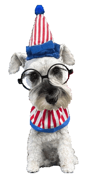Dog Sticker