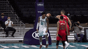 Charlotte Hornets Sport GIF by NBA