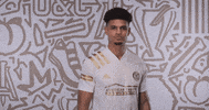 Miles Robinson Football GIF by Atlanta United