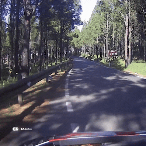 Check Checking GIF by FIA World Rally Championship