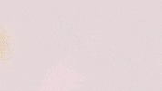 Football Sport GIF by FC Red Bull Salzburg