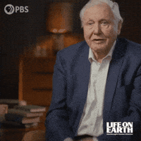 David Attenborough Oops GIF by PBS