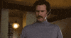 will ferrell anchorman GIF