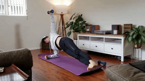 briannaparcel giphygifmaker sideplank GIF